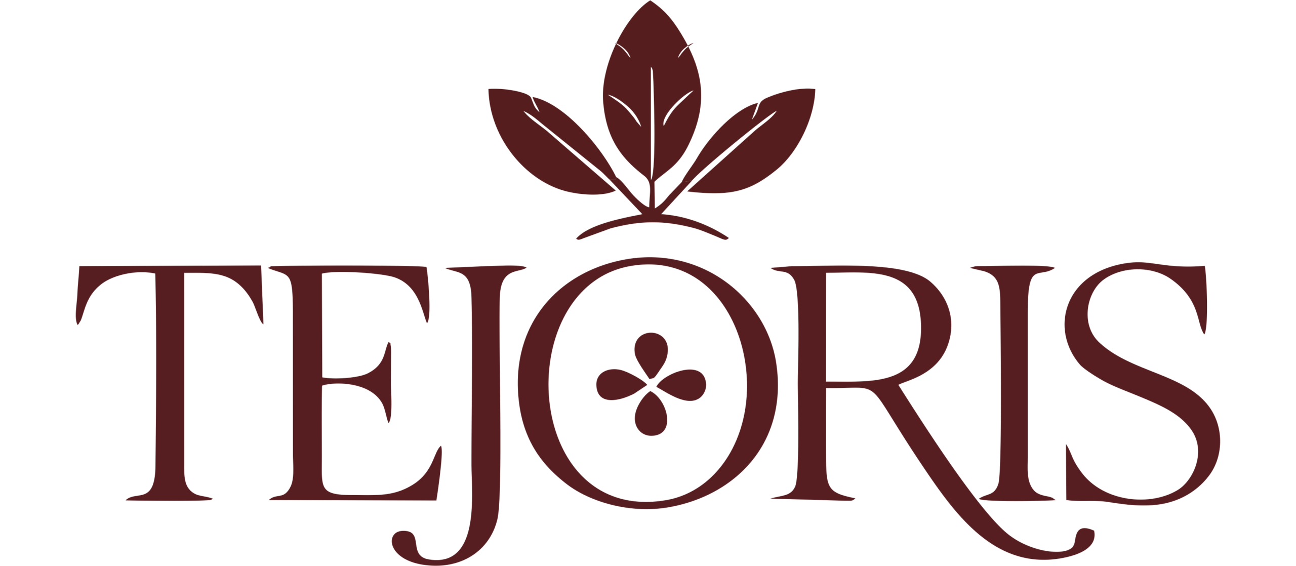 Tejoris Logo